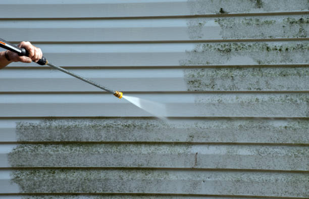 Best Roof Pressure Washing  in Hackensack, NJ