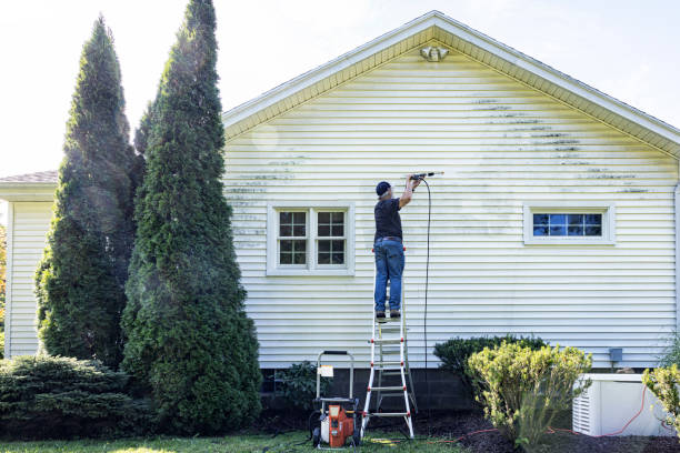 Best Local Pressure Washing Services  in Hackensack, NJ